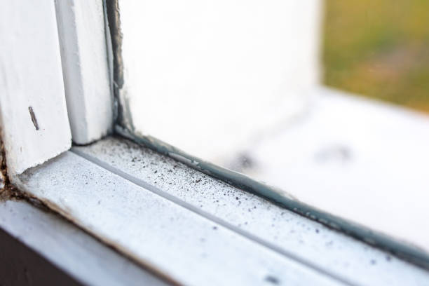 Best Asbestos and Lead Testing During Mold Inspection  in Louisville, GA