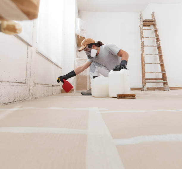 Best Forensic Mold Investigation  in Louisville, GA